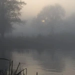 early morning fog Group Thumbnail