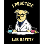 Voicing lab
