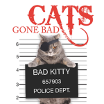 Bad Cats yoooo