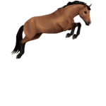 Horsey_girlys