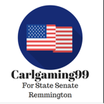 Carlgaming99 For State Senate Remmington