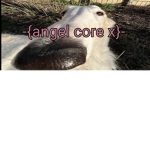 -{angel core x}-