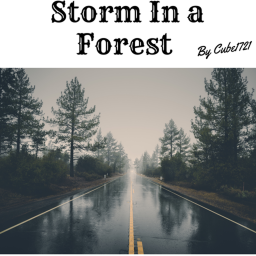 Storm in a Forest