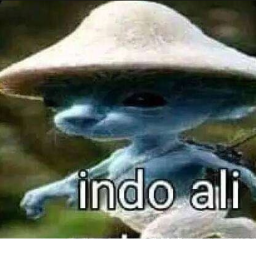 Indo Ali Simulator