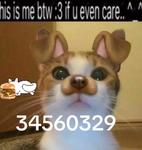 swnufi