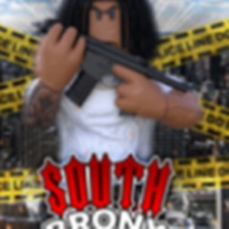 South Bronx 2