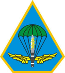 陸軍航空第六〇三旅特戰第二營army aviation
