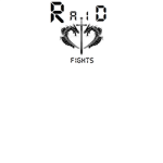 RAID FIGHTS