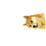 Peek-a-booDoge