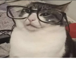 El GrUpiTo ChiZmOzOH uWu
