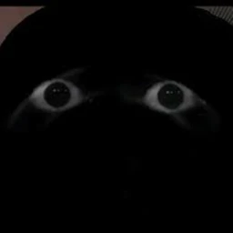 Escape bob!!!!! icon
