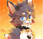 House of Paws