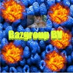Razgroup BV
