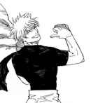 Bara fans