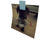 Roblox entity thumbnail