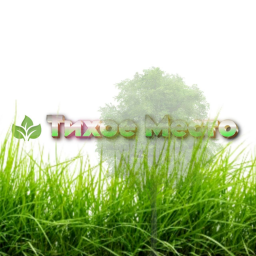 Тихое Место🌲[RU]