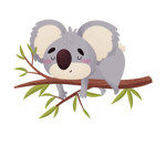 Koala group official!