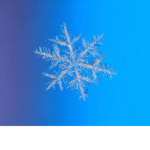 Snow Games Studio