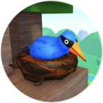 Bird's Eye