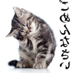 ʚɞ icon