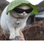 Siamotuttiscem