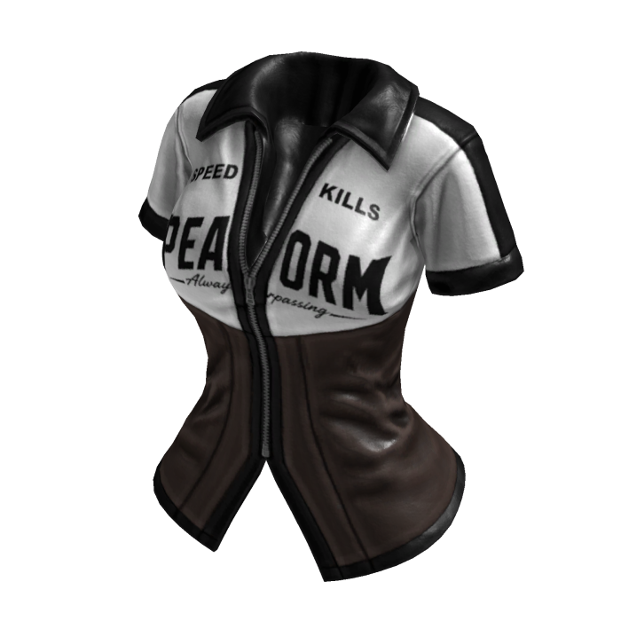 Y2K Sporty Streetracer Jacket (Brown White)