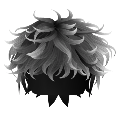 Curly Cool Boy Hair in Black & White Roblox item
