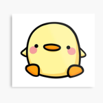 DuckinDuck