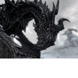 Skyrim Border *Not Finished*