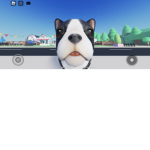 woozlo2000