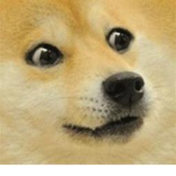 World Of The Doge's