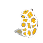 Badgemik