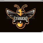 Team hornet for ever