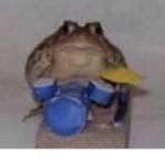 Talent frog