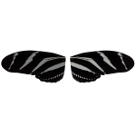 Zebra Longwing Butterfly (back)