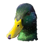 Clothing For Ducks
