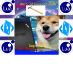 Doge Builder Co