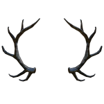 Mercury Antlers