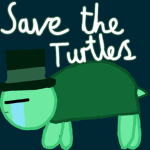 Turtle . com
