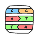 Deoxyribonucleic Brick