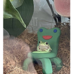 -Peanut Army-