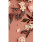 Aesthetic Cookies~!