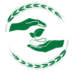 Green Creation Studio
