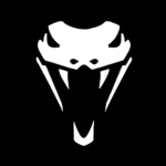 Dark Viper Studios