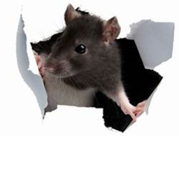 RAT-Ville's Meeting center