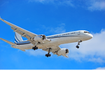 Rustadore Airlines