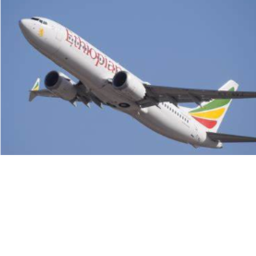 ethiopian flight 302