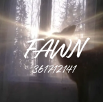 fg_fawn