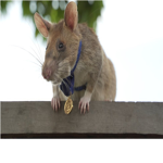 RATMEN
