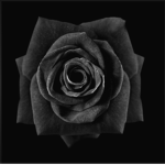 GAMINGHDRR mlg yt group